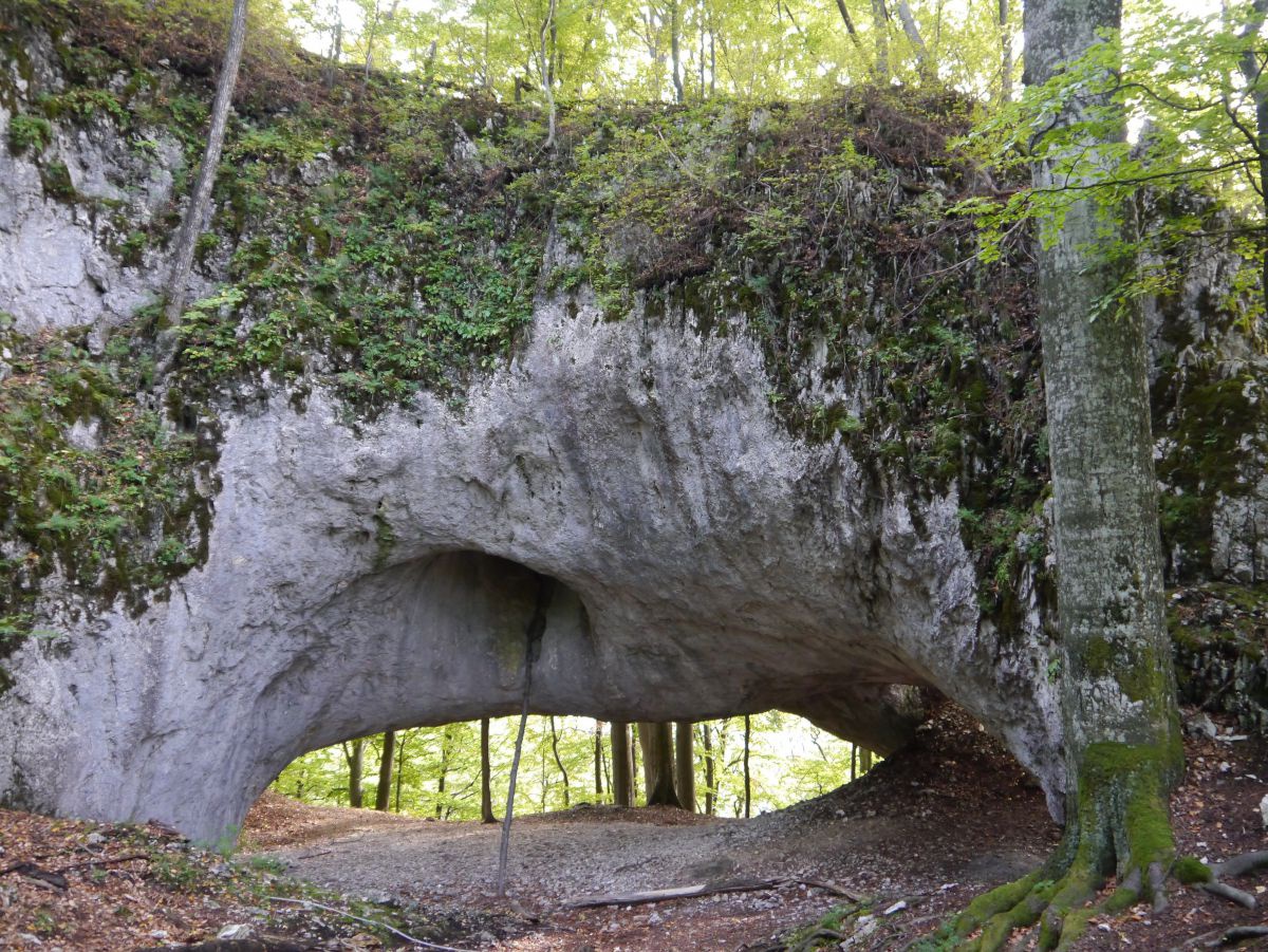 Wie ein dicker Wurm zieht sich der Felsen durch die Landschaft. Untenist er zum Teikl ausgespült und bildet daher eine Brücke.