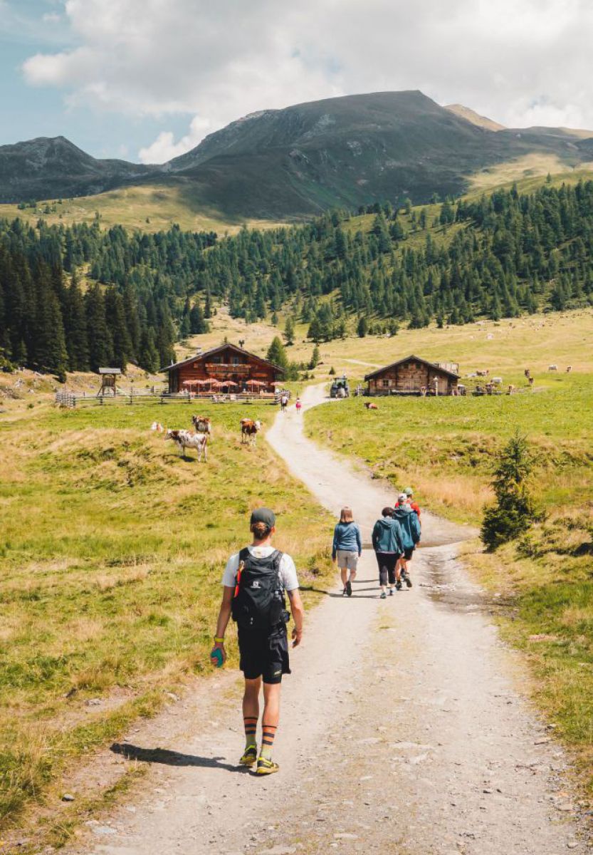 Wanderer auf einer ebenen Forststraße, die zu zwei Hütten führt.