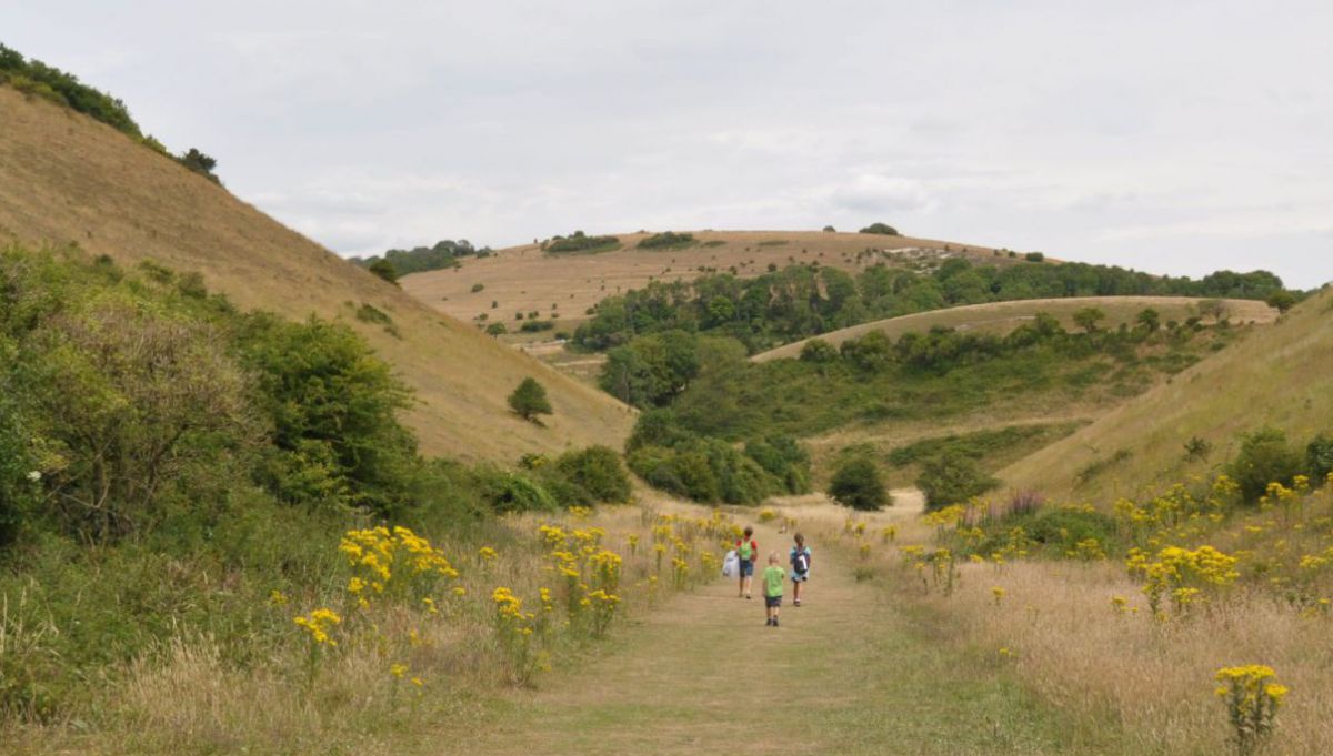Kinder gehen auf einem Wiesenweg inmitten grüner Hügel, die vereinzelt mit Büschen und Baumgruppen bewachsen sind.