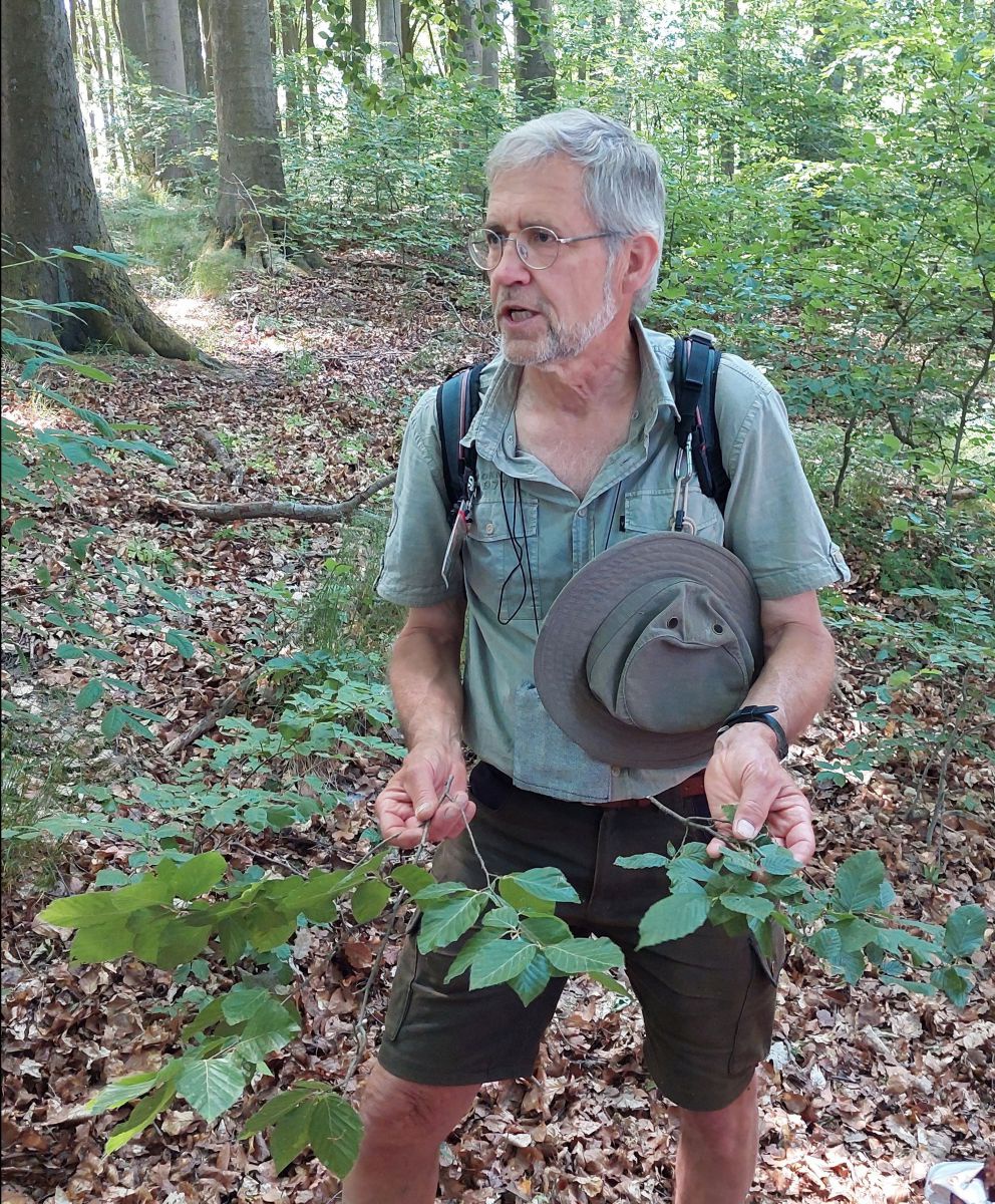 Naturführer Thomas Volpers im Buchenwald.