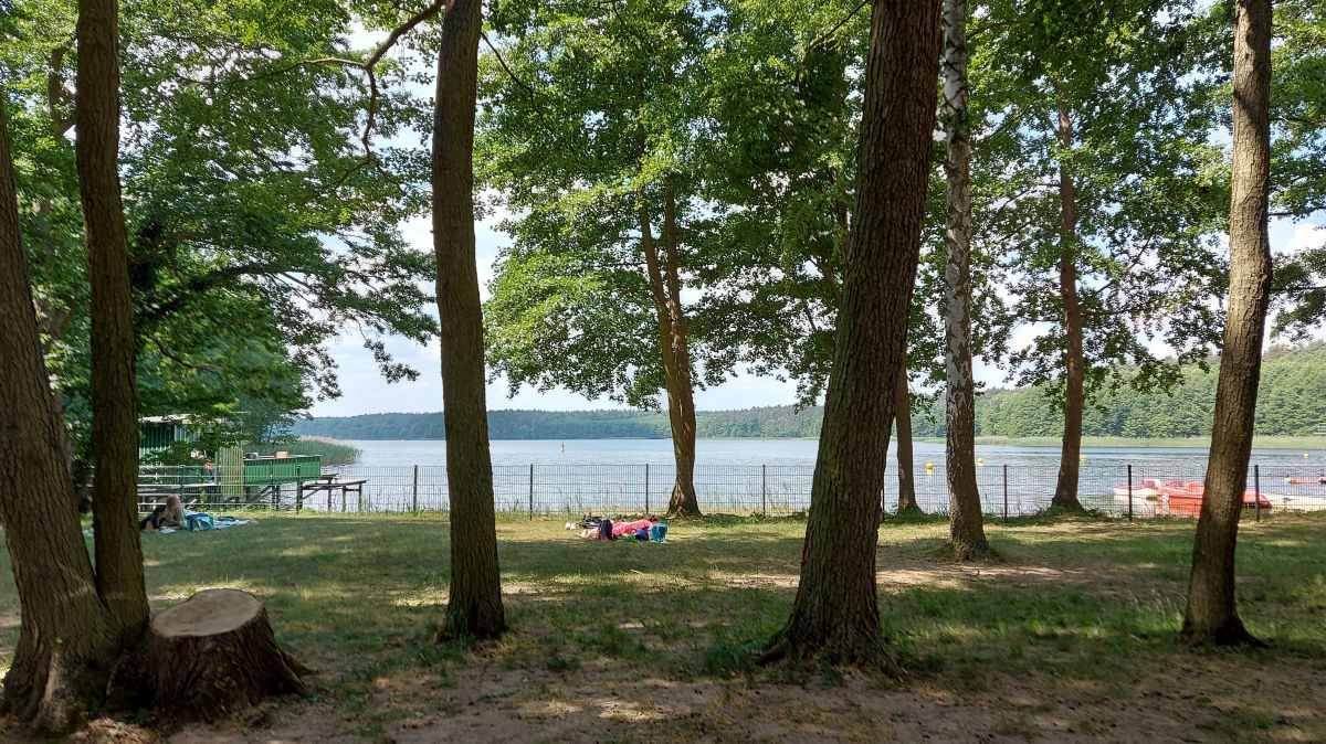 Liegewiese mit Bäumen, dahinter der See.