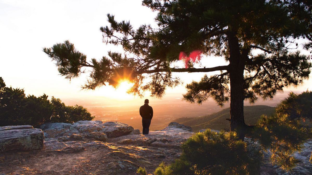 Mann steht auf einer Anhöhe unter einem mächtigen Baum und blickt ins Tal in den Sonnenuntergang.
