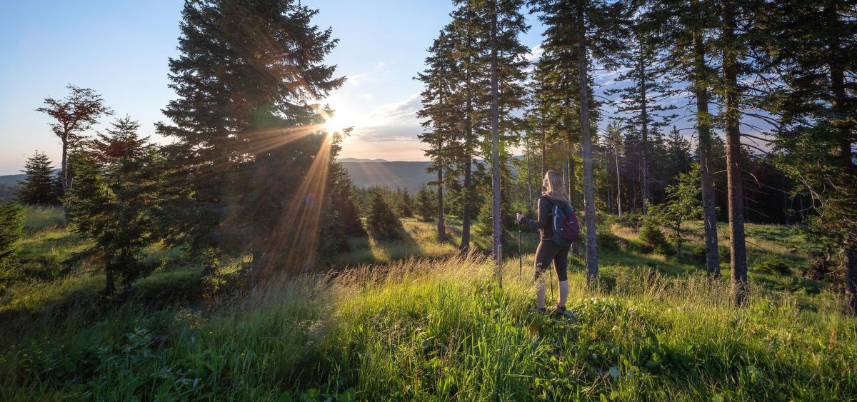 Frau mit Wanderrucksack im Wald auf einem Hochpleteau bei Sonnnenuntergang.