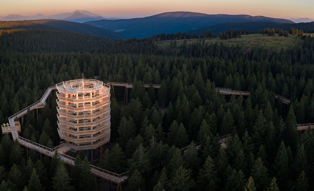 Runder Holzturm im Wald in der Abenddämmerung beleuchtet.