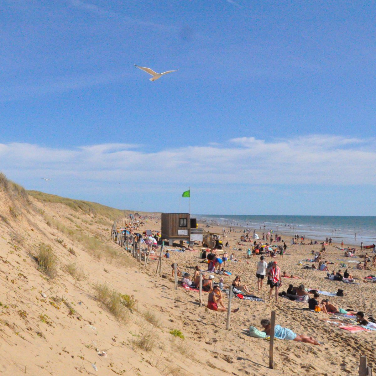 Strand an der französischen Atlantikküste: Eine Möwe zieht über die spärlich mit Grasbüscheln bewachsenen Sanddünen, welche sanft zum von bunten Badegästen bevölkerten Strand abfallen. 