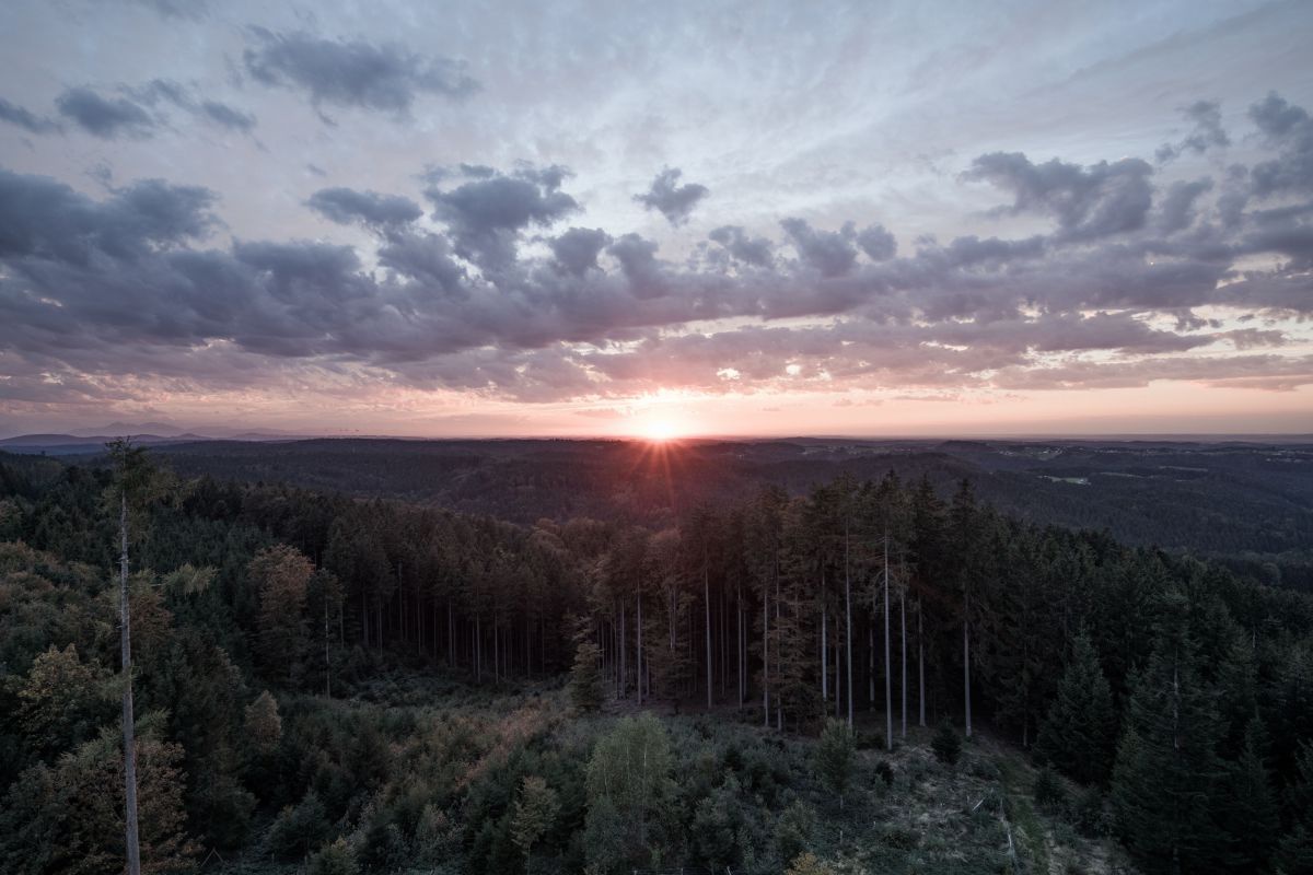 Sonnenaufgang im Spätsommer über dem Wald. Der Himmel ist leicht bewölkt.