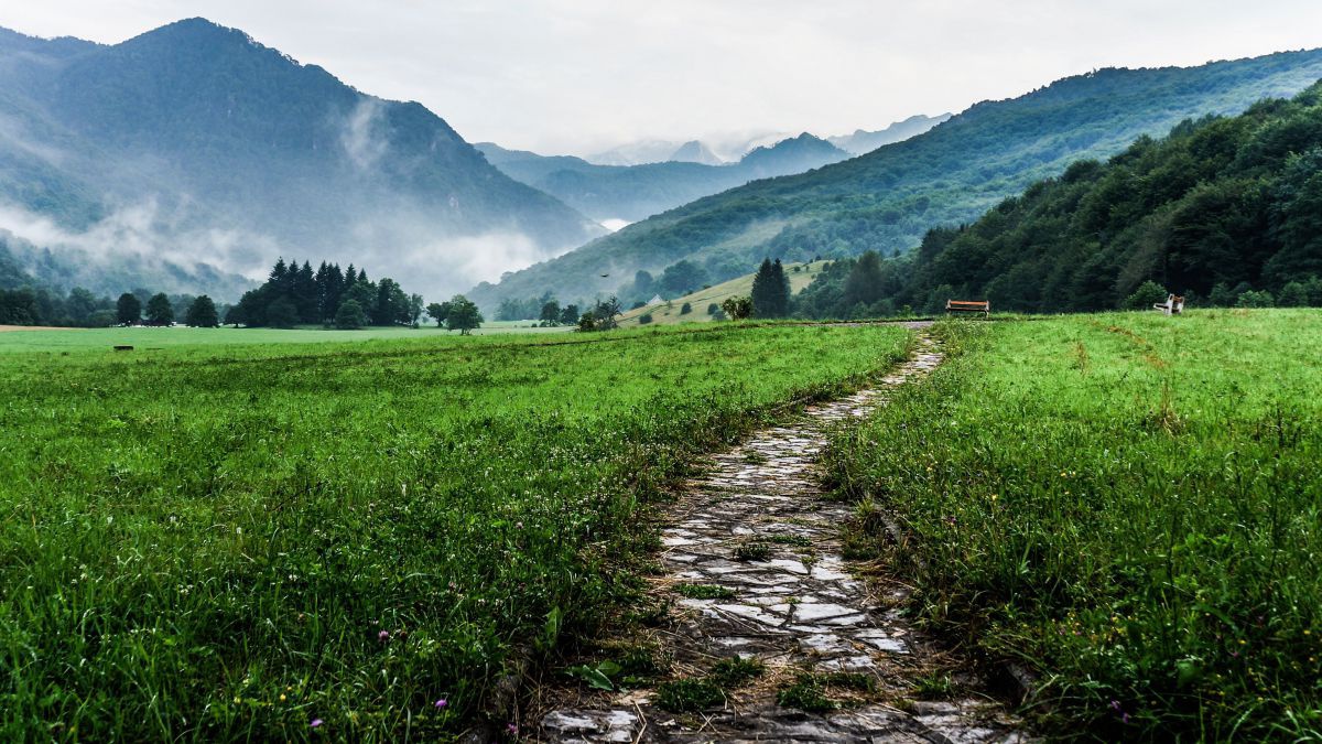 Ein mit Steinen gepflasterter Weg führt durch eine grüne, ebene Landschaft. Dahinter erheben sich einige Hügel.