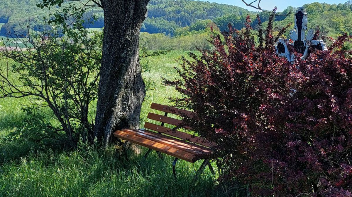 Ein Ensemble aus Bank, Marterl und Baum in der Lansdschaft.