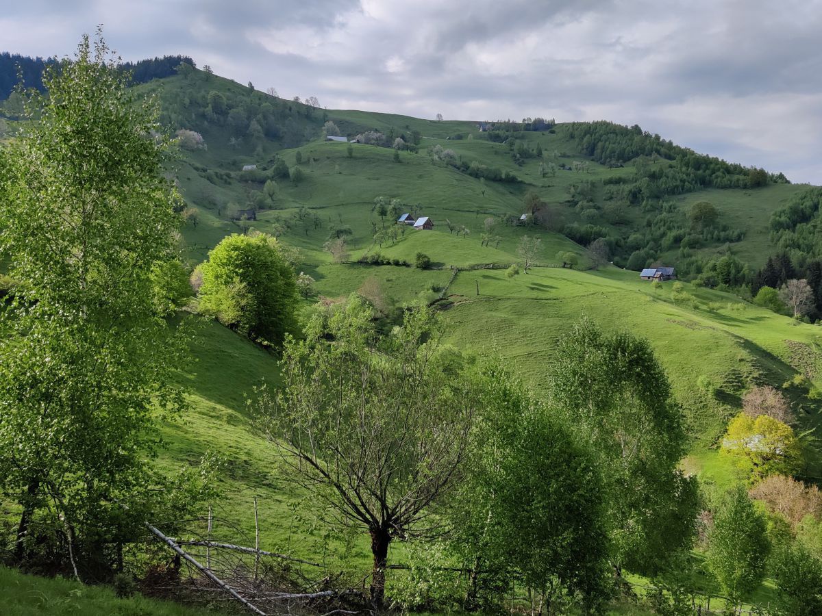 Grüne Hügellenschaft, verstreut einzelne kleine Häuschen.