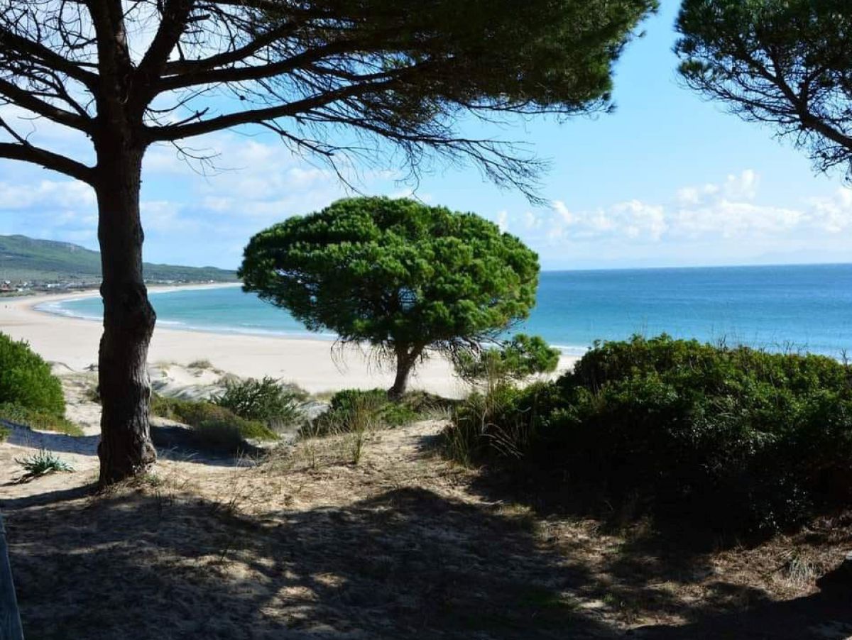 Breiter Sandstrand, blaues Meer. Bäume auf einer Anhöhe bieten Schatten.