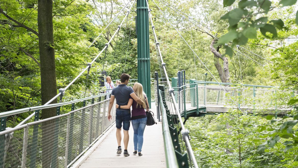 Paar wandert auf einer Hängebrücke in Höhe der Baumkronen.