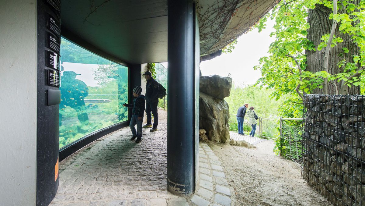Mann mit Kind vor einem Aquarium am Rand eines Weges.