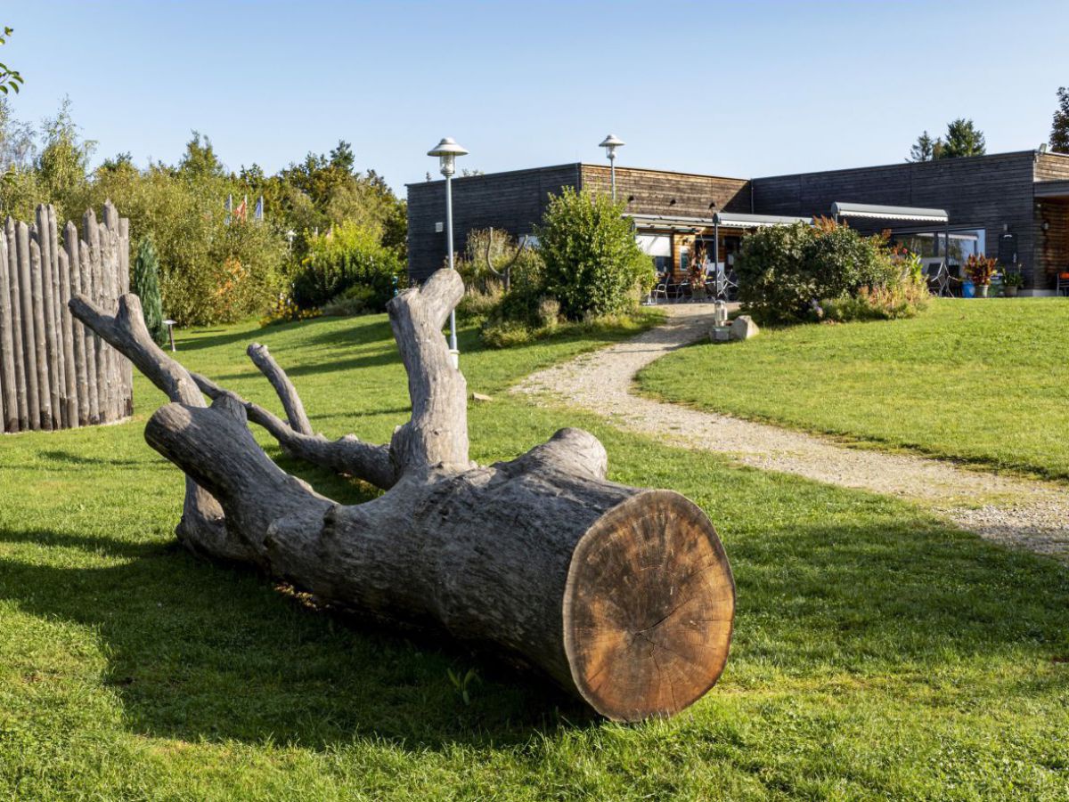 Alter Baumstamm mit Ästen liegt in der Wiese, dahinter ein Gebäude.