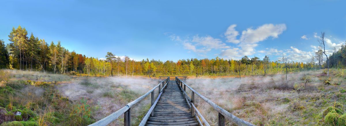 Holzstegin eine freie Landschaft, Nebel steigt links und rechts auf.