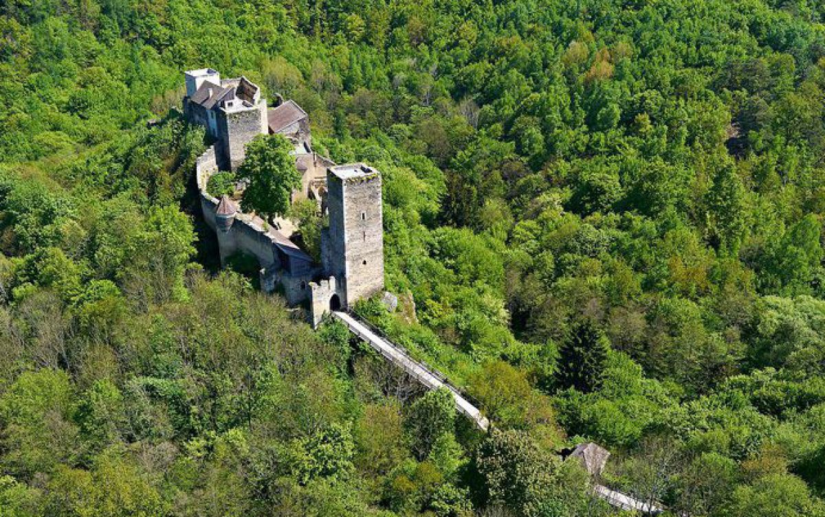 Ruine von oben fotografiert, rundherum nur Wald.