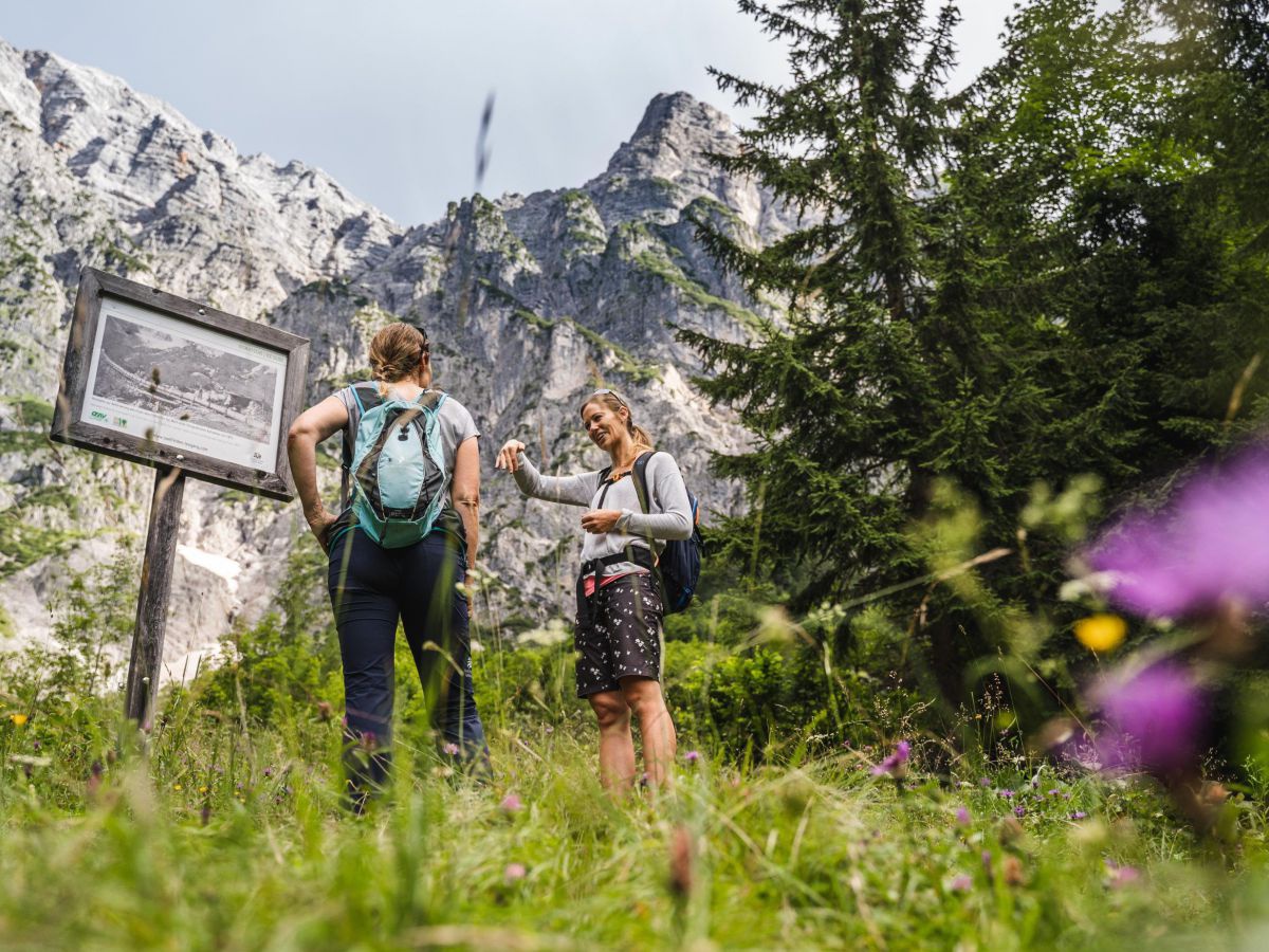 Zwei Frauen in sommerlicher Wanderausrüstung beim Gespräch an einer Informationstafel am Rand eines Waldes am Klimawanderweg. Die Wiese blüht, im Hintergrund mächtige Felsen.