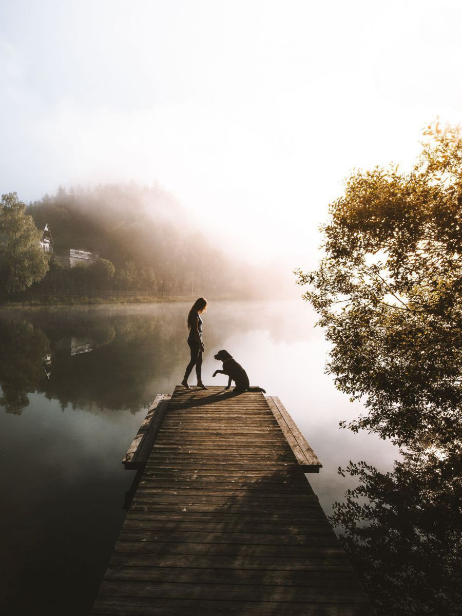 Blick auf einen Holzsteg, der in den See führt. Im milden Abendlicht der tiefstehenden Sonne heben sich die Silhouetten einer Frau und ihres Hundes dunkel ab. Sie stehen einander gegenüber, der Hund sitzt und hat eine Pfote erhoben.