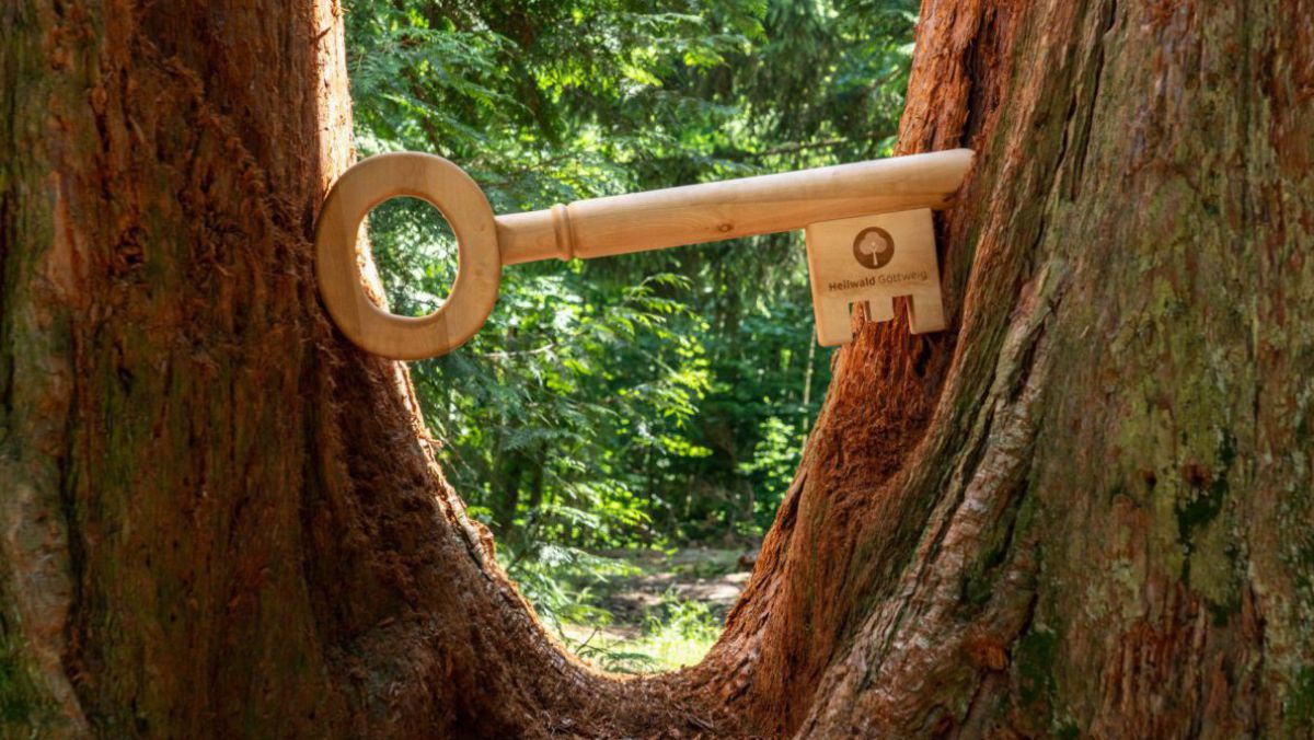 Ein übergroßer Schlüssel aus Holz steckt zwischen den beiden Zwillingsstämmen eines Mammutbaumes. Auf dem Bart des Schlüssels ist das Logo des Heilwald Göttweig eingebrannt (ein stilisierter Baum in einem Kreis, darunter der Schriftzug 