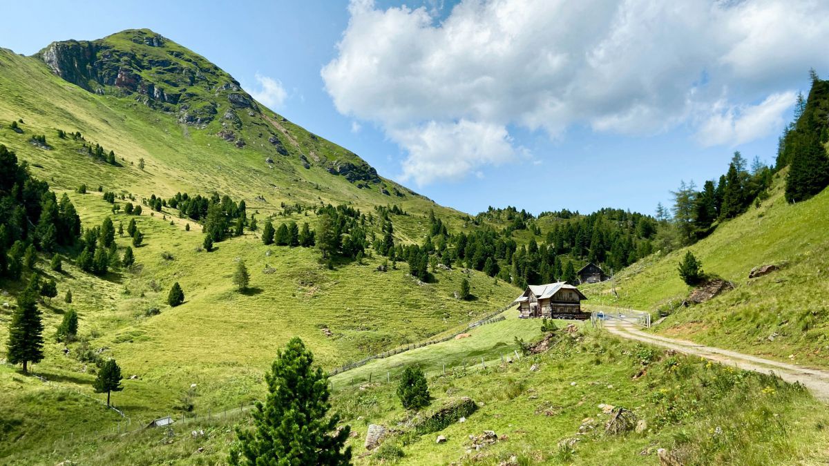 Almlandschaft mit Almhütte