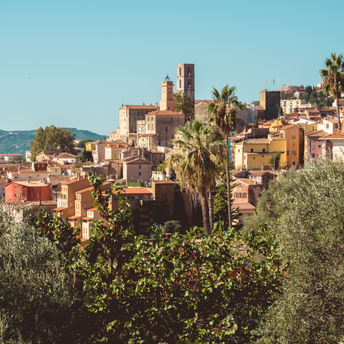 Blick auf die Altstadt von Grasse, die an einem mit Olivenbäumen und Palmen bewachsenen Hang liegt.