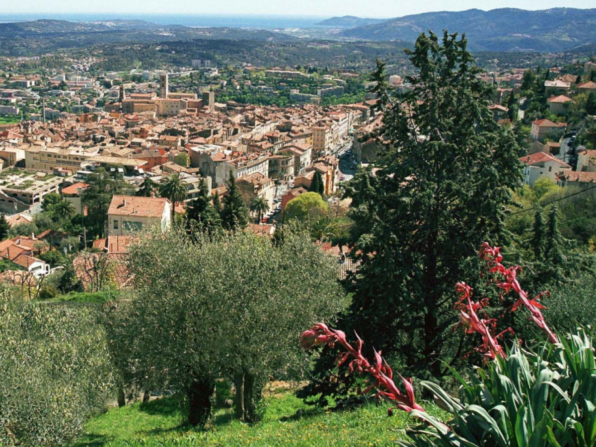 Blick vom Hang des Hügels hinunter auf die Stadt Grasse. Im Vordergrund Olivenbäume und magentafarben blühende Blumen.