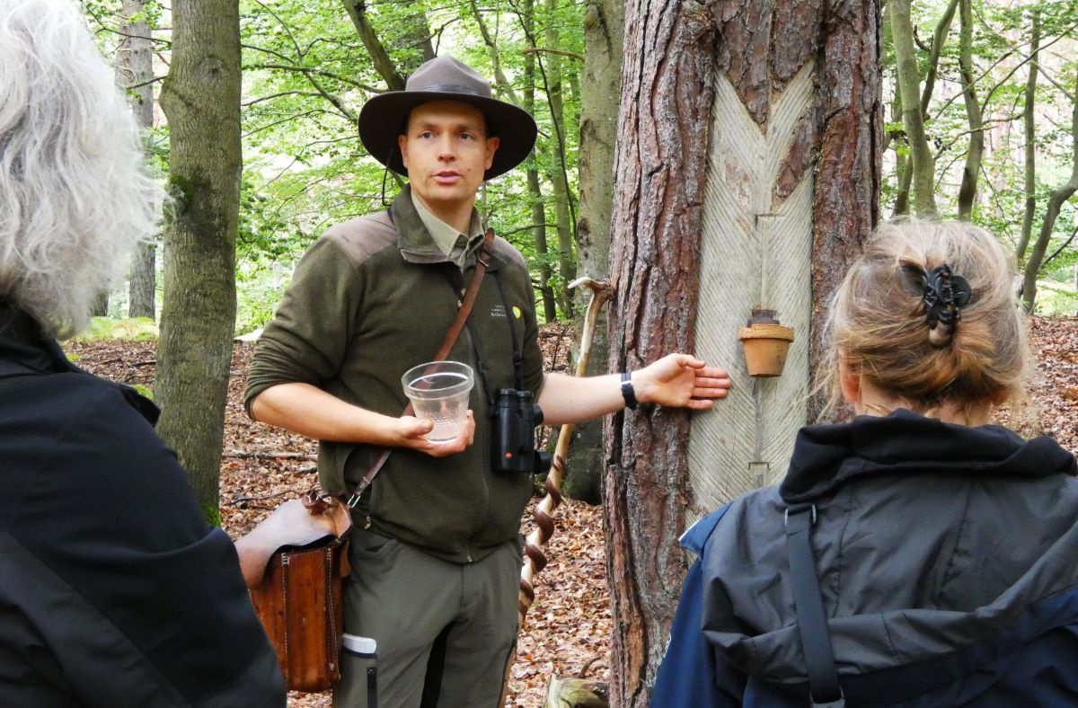 Ranger vor einem Baum, dessen Rinde eingeritzt ist. In der Hand einen Behälter, der am Baum befestigt wurde.