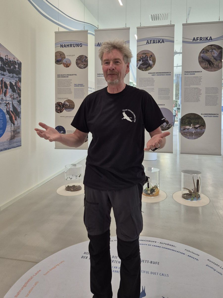 Günter Nowald vor Ausstellungswänden