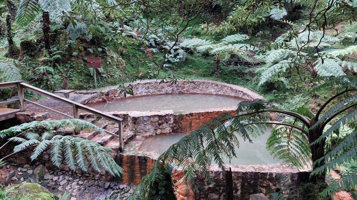 Zwei gemauerte Badebecken, etwa 7 x 4 Meter, terassenförmig angelegt, eingebettet inmd eine Landschaft aus riesigen Farnen.