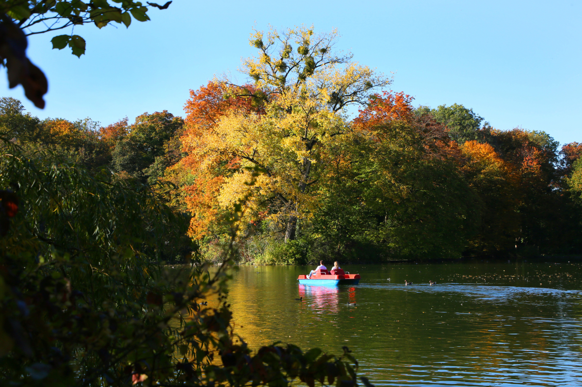 Blick zwischen Sträuchern auf die Wasserfläche eines Sees, auf dem zwei Personen in einem Tretboot fahren. Das Laub an den Bäumen um den See ist frühherbstlich verfärbt, der Himmel klar und blau.
