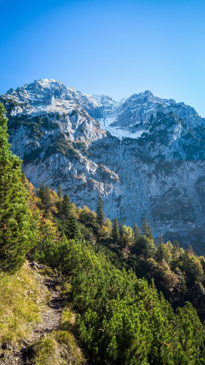 Schroffes, schneebedecktes Bergmassiv vor strahlend blauem Himmel. Im Vordergrund ein Wanderweg an einem Steilhang, der sich zwischen Latschenkiefern schlängelt.