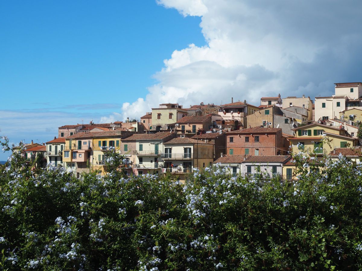 Eine Ansammlung von Häusern, die dicht gedrängt auf einer Anhöhe stehen. Im Vordergrund hellblau blühende Büsche, im Hintergrund links blauer Himmel, rechts zieht eine Wolkenwand auf, die von Weiß ins Grau verläuft.
