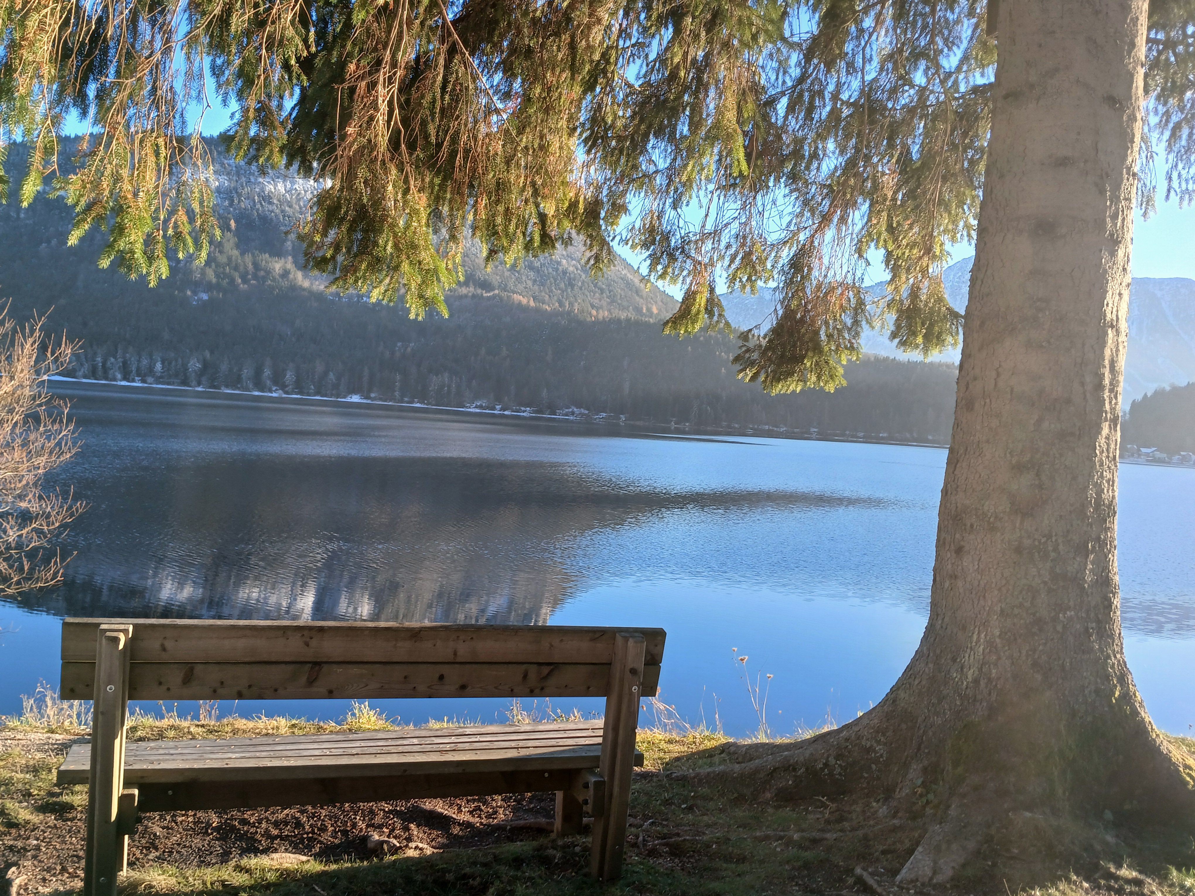 Am Ufer des Altausseer Sees steht ein großer Nadelbaum, darunter eine Holzbank. In der Wasserfläche des Sees spiegelt sich die umliegende Berglandschaft.