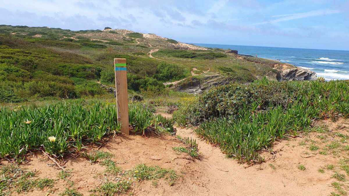 Holzpflock mit grünem und blauem Strich.