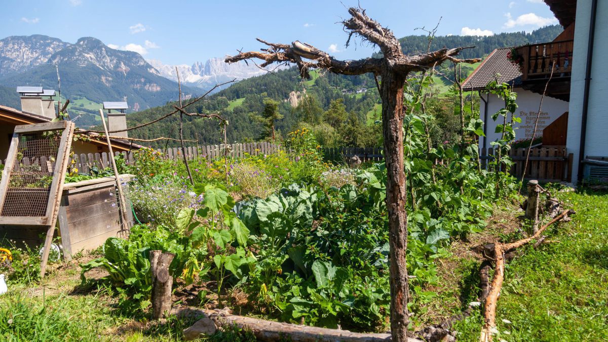 Sehr naturbelassene Gartenanlage, dahinter mächtige Gebirgszüge.