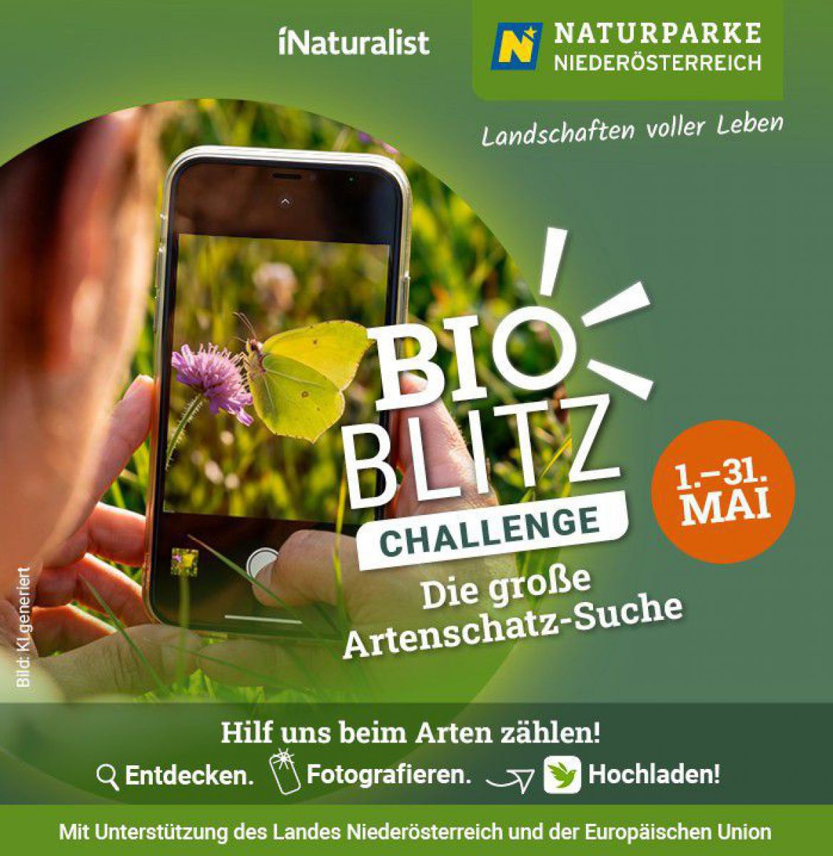 Sujet zeigt eine Person, die mit einem Handy einen Schmetterling fotografiert und ruift dazu auf, im Mai bei der Aktion 