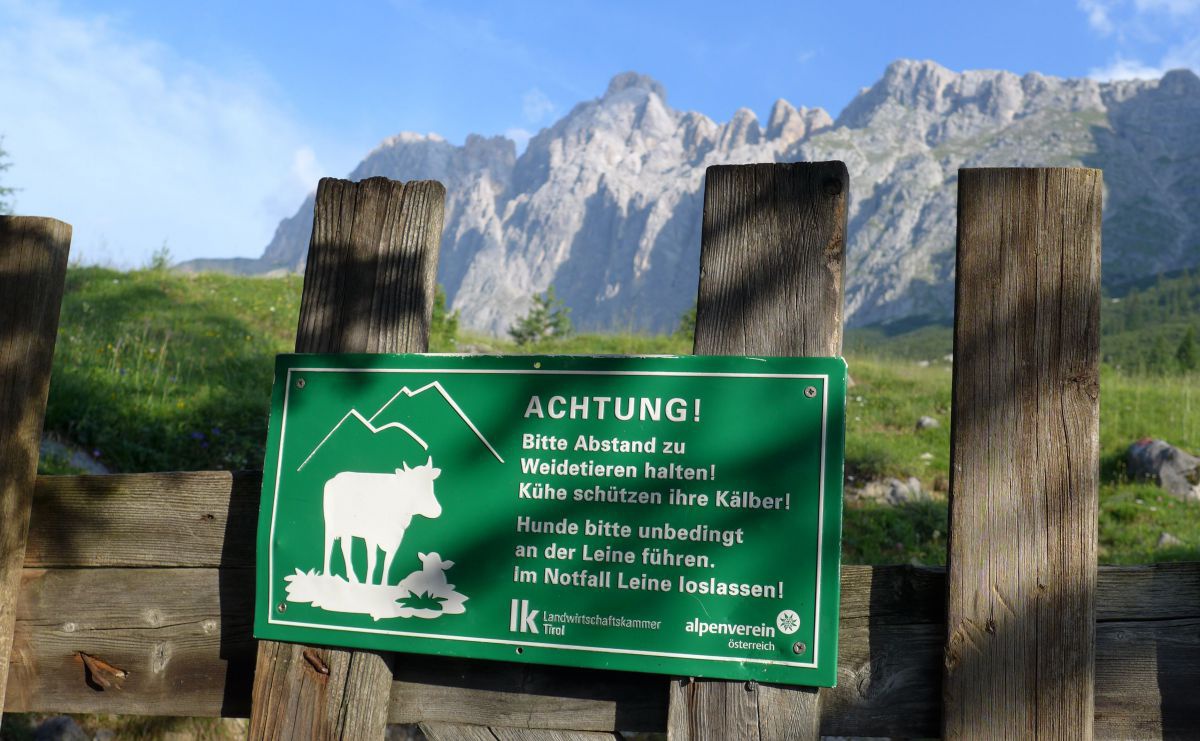 Grünes Schild an einem Holzzaun mit dem Hinweis, Abstand zu halten und Hunde an die Leine zu nehmen und notfalls loszulassen.