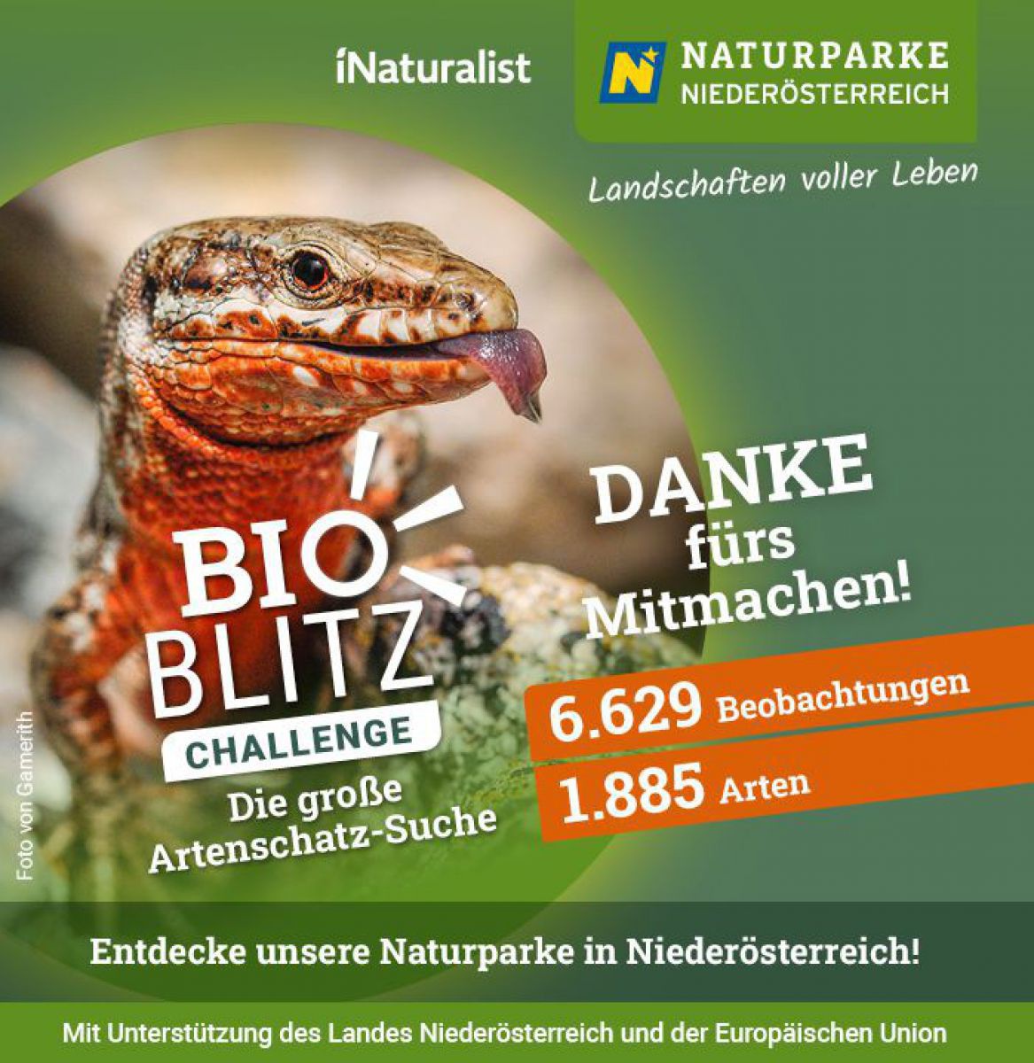 Naturparke bedanken sicgh für's Mitmachen bei der Bio Blitz Challenge. Grünes Sujet mit Foto einer Schlange.