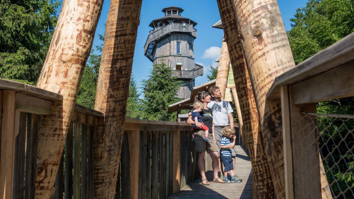 Familie am Baumkronenweg, Aussichtsturm im Hintergrund.