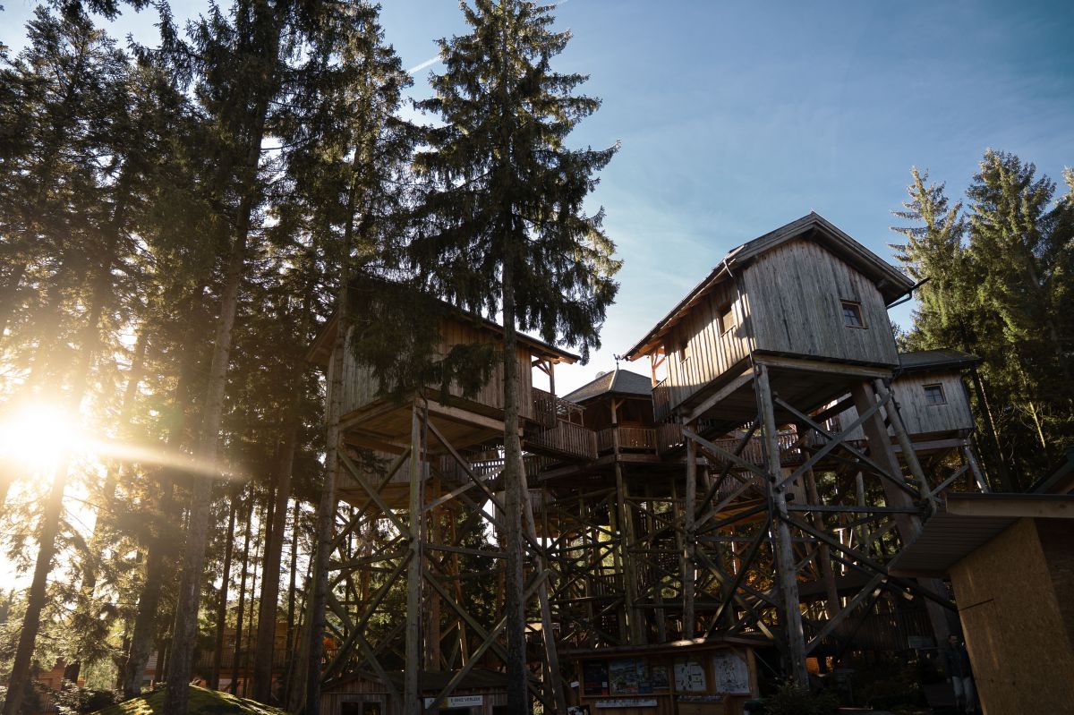 Kleine hölzerne Häuser auf hohen Stelzenbeinen zwischen hohen Nadelbäumen, die Sonne blinzelt zwischen den Baumstämmen hindurch.