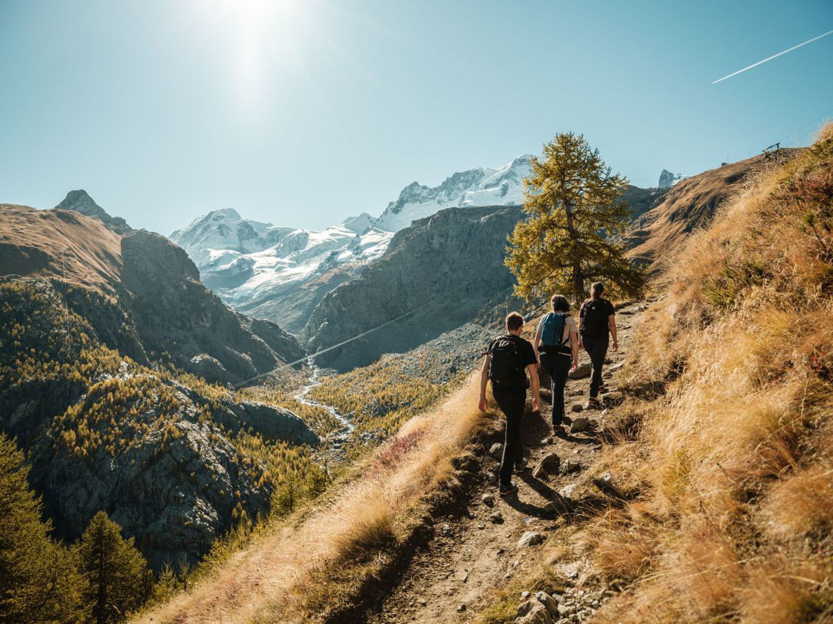 Drei Personen mit Rucksäcken wandern auf einem sonnenbeschienen Bergpfad mit Aussicht auf schneebedeckte Gipfel am Horizont.