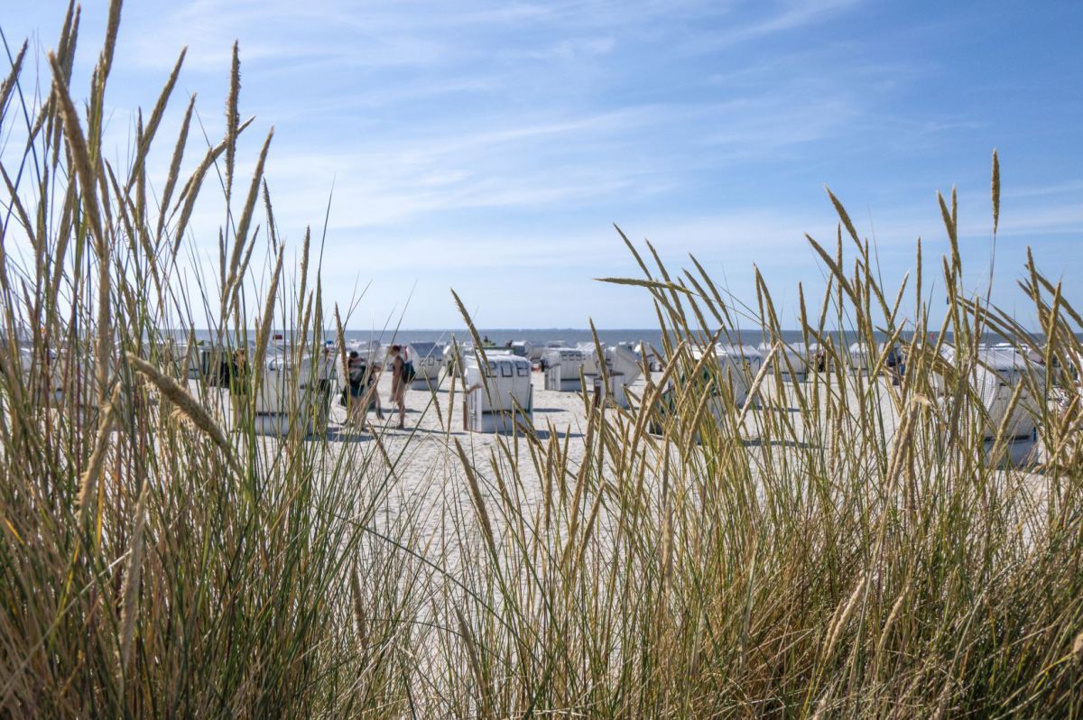 Blick durch hohes Gras auf einen Sandstrand, auf dem einige Personen zwischen einer Vielzahl an Strandkörben stehen. Der Himmel ist blau von fedrigen Wölkchen durchzogen.