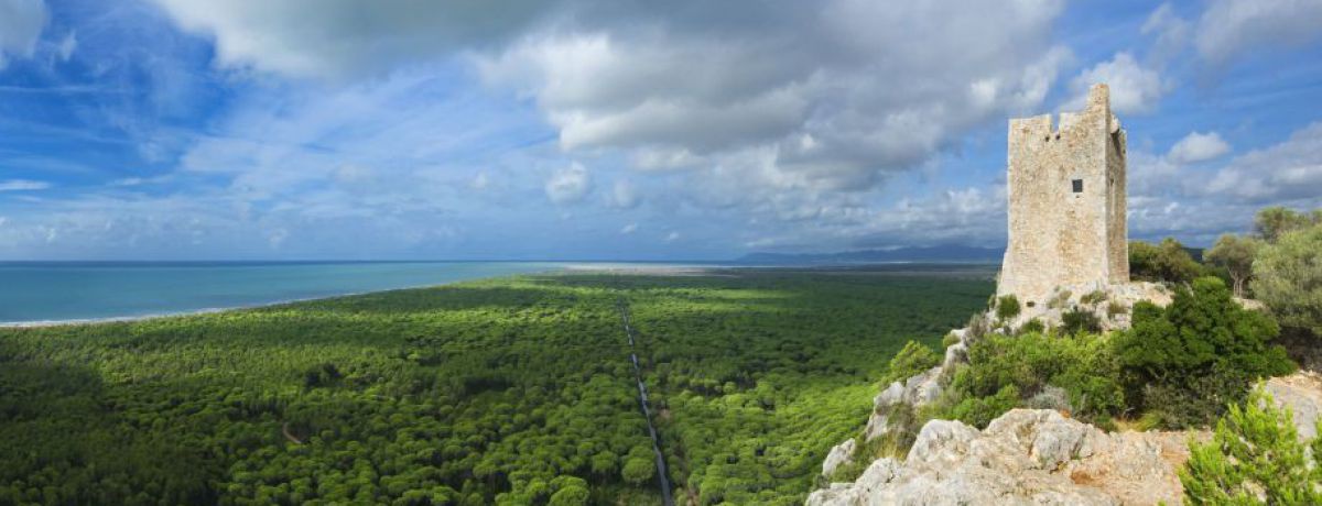 Eine alte Steinruine steht auf einem Felsen über dichtbewaldeter Landschaft, am Horizont das Meer unter blauem, leicht bewölktem Himmel.
