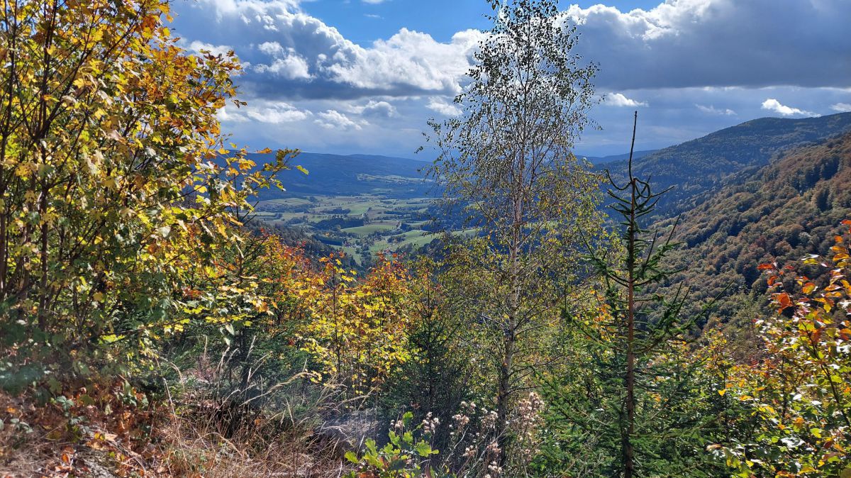 Blick hinunter ins Yspertal.