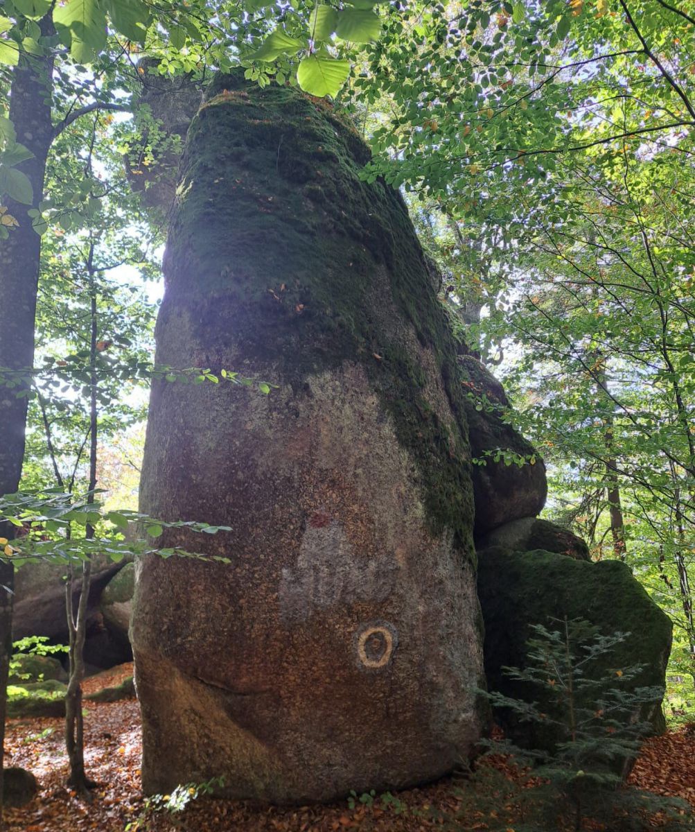 Steinformation im Wald.