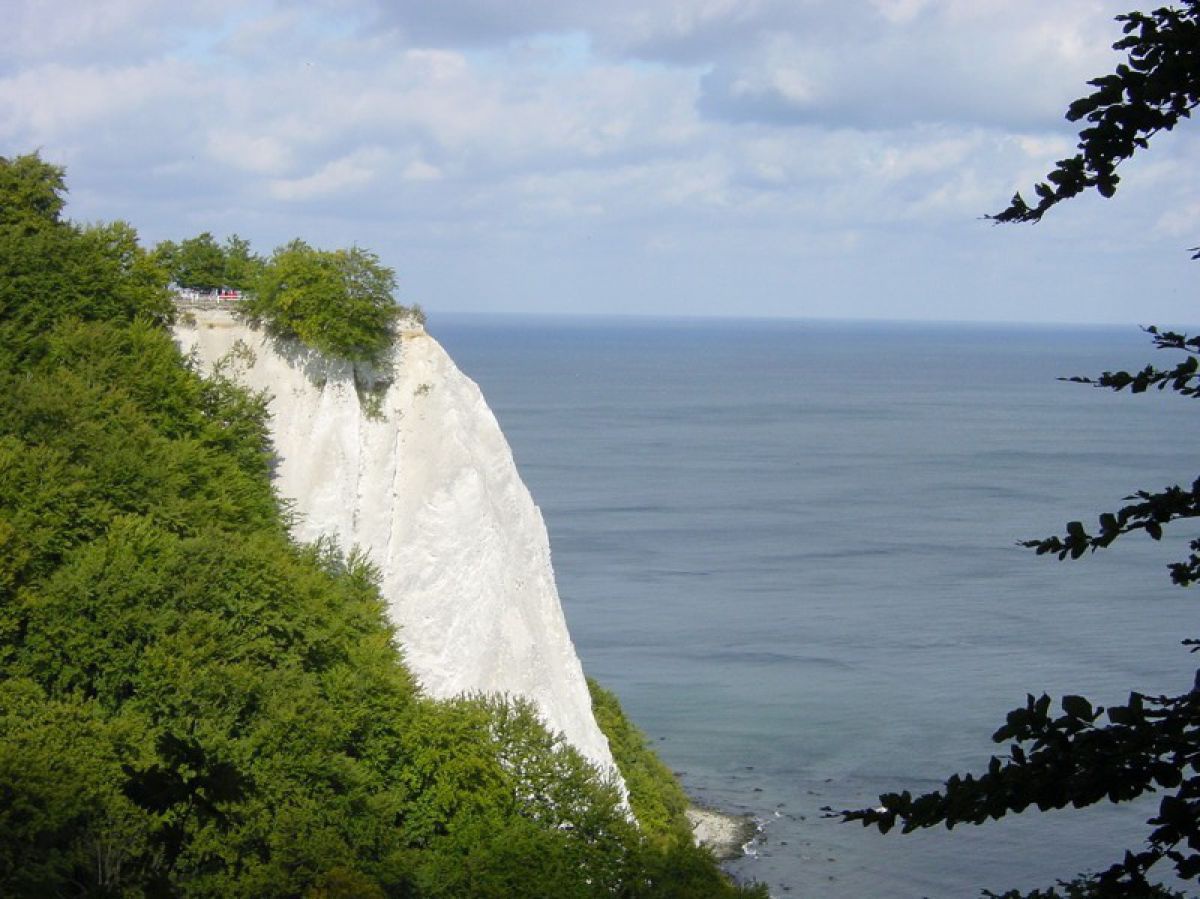Der Königsstuhl - ein mächtiger Kreidefelsen.