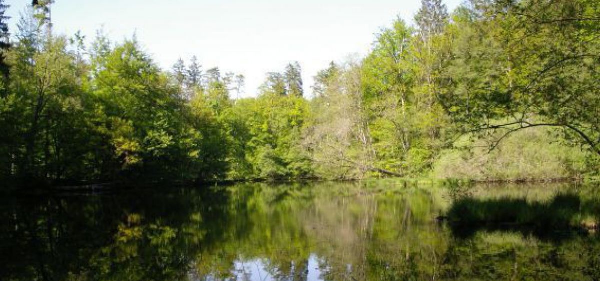 Huckingersee