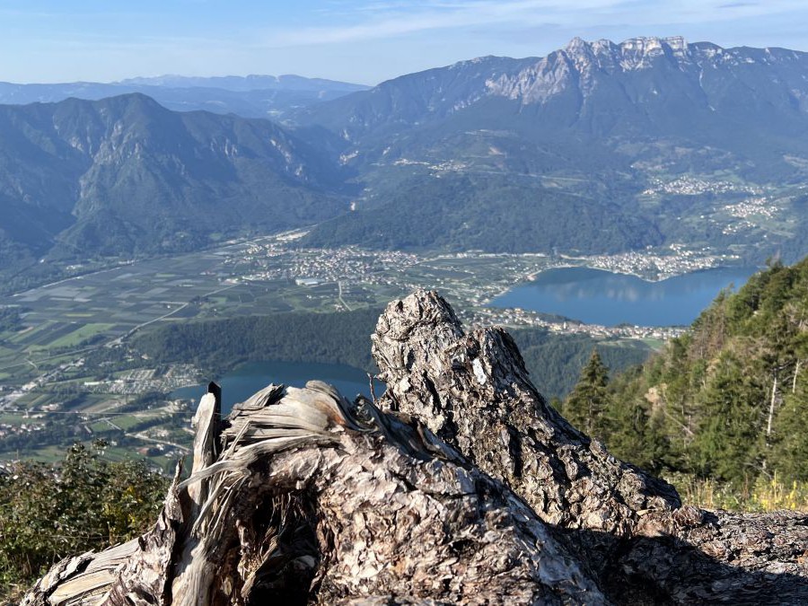 Blick von einer Anhöhe ins Tal mit 2 Seen und mehreren Ortschaften. Im Vordergrund ein Baumstumpf.