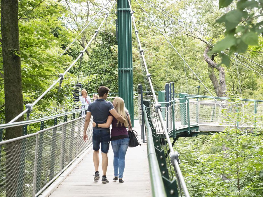 Paar wandert auf einer Hängebrücke in Höhe der Baumkronen.