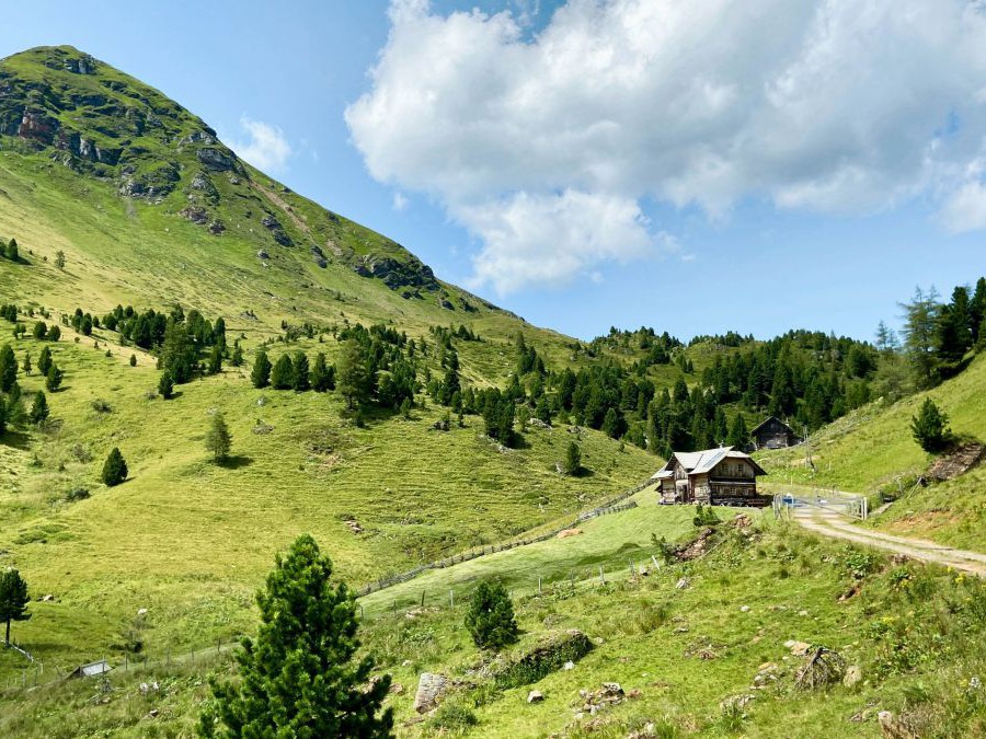 Almlandschaft mit Almhütte
